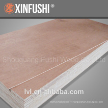Feuille de contreplaqué okoumé / bintangor pour panneau de meuble utilisé pour les machines d&#39;armoires fabriquées en Chine